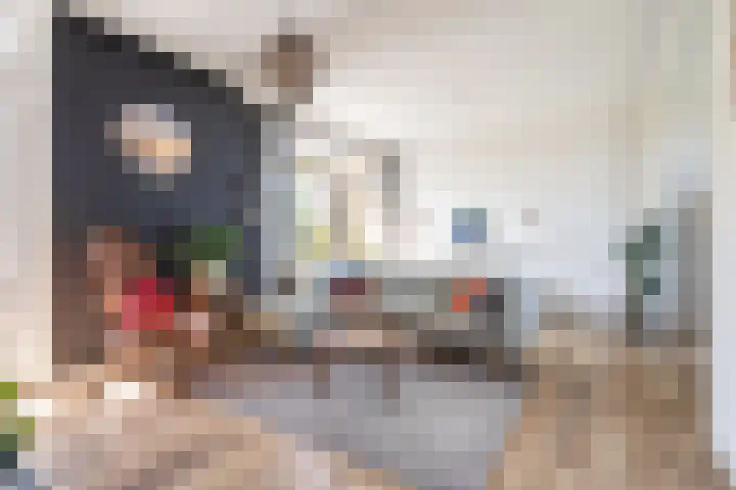 Steijnlaan 27 B Breda thumbnail 5