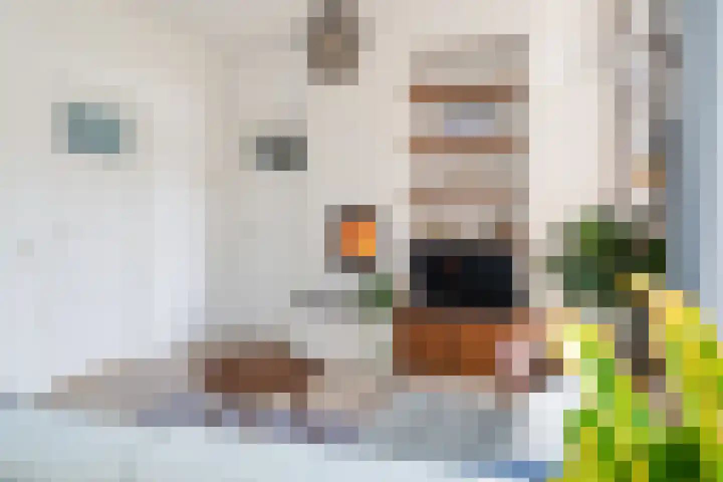 Steijnlaan 27 B Breda thumbnail 6