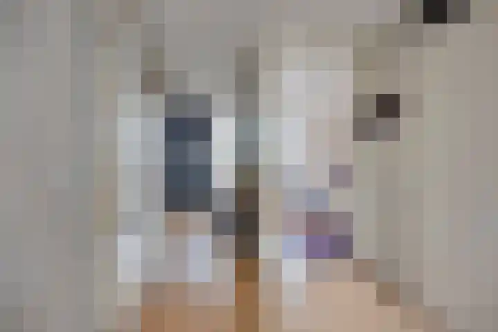 Steijnlaan 274 Den Haag thumbnail 18