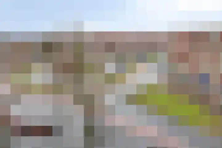 Steijnlaan 274 Den Haag thumbnail 9