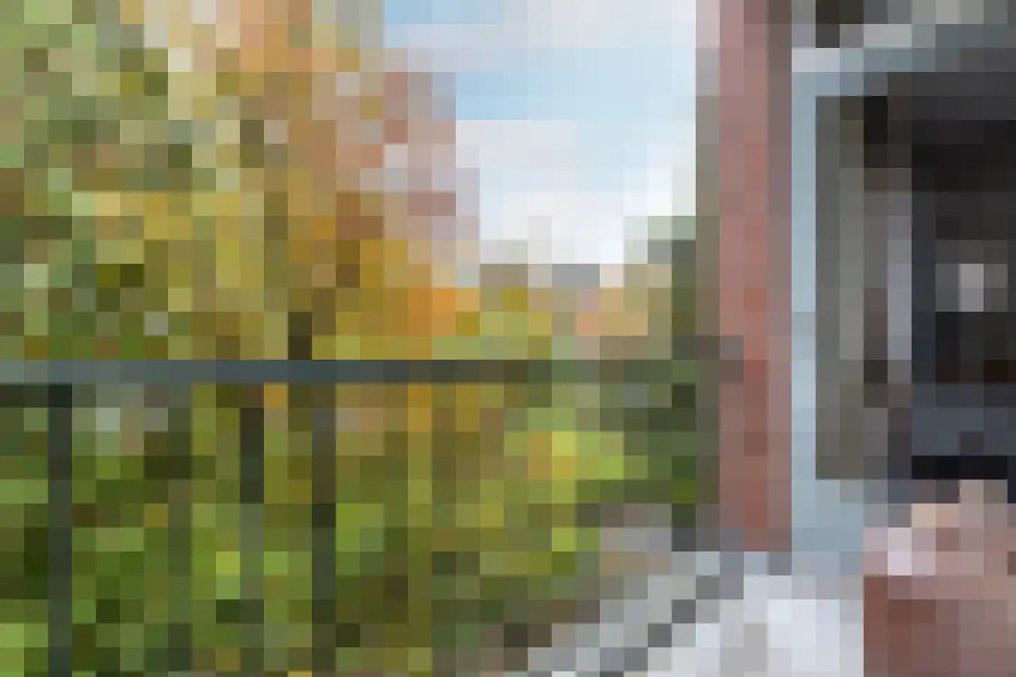 Steijnlaan 3 A Breda thumbnail 19