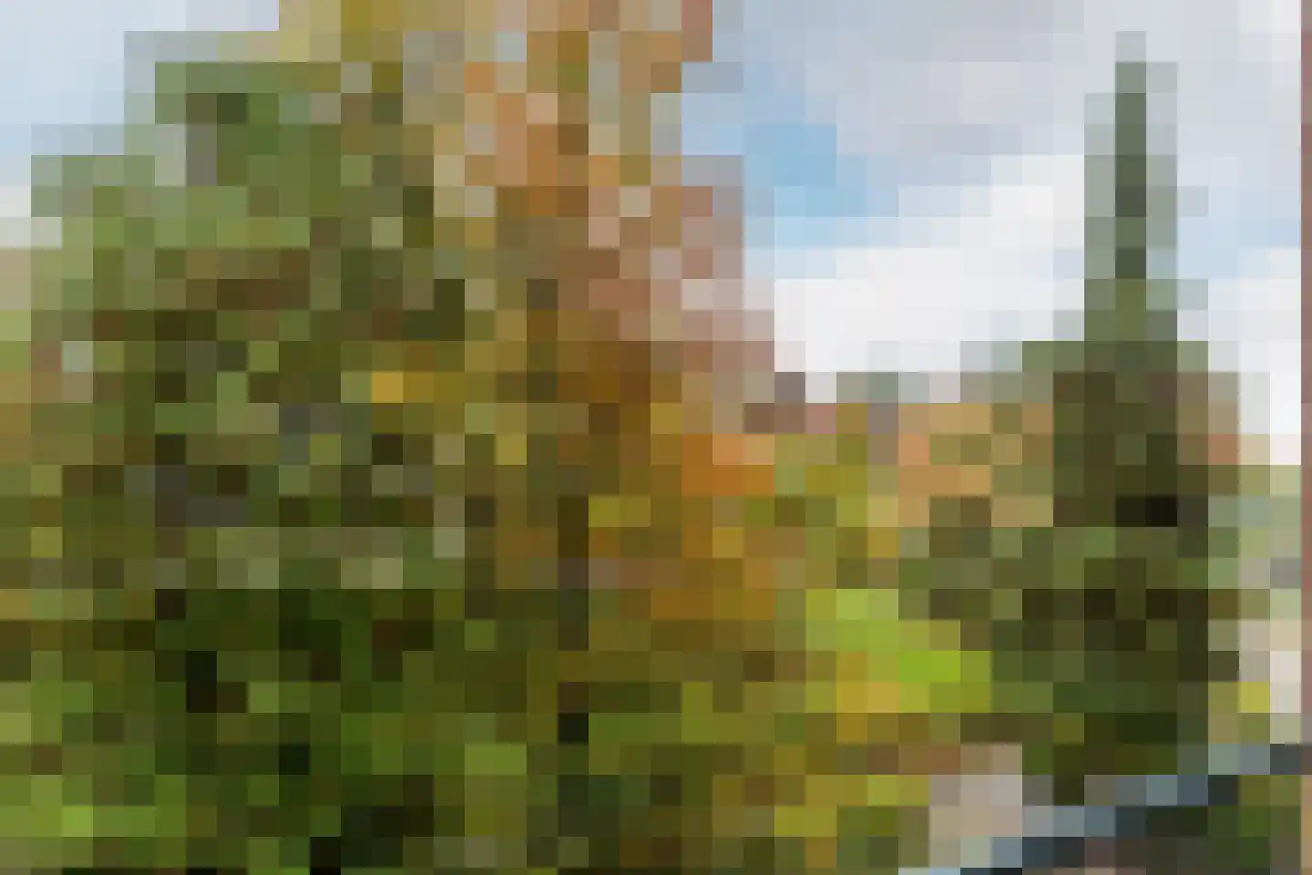 Steijnlaan 3 A Breda thumbnail 20