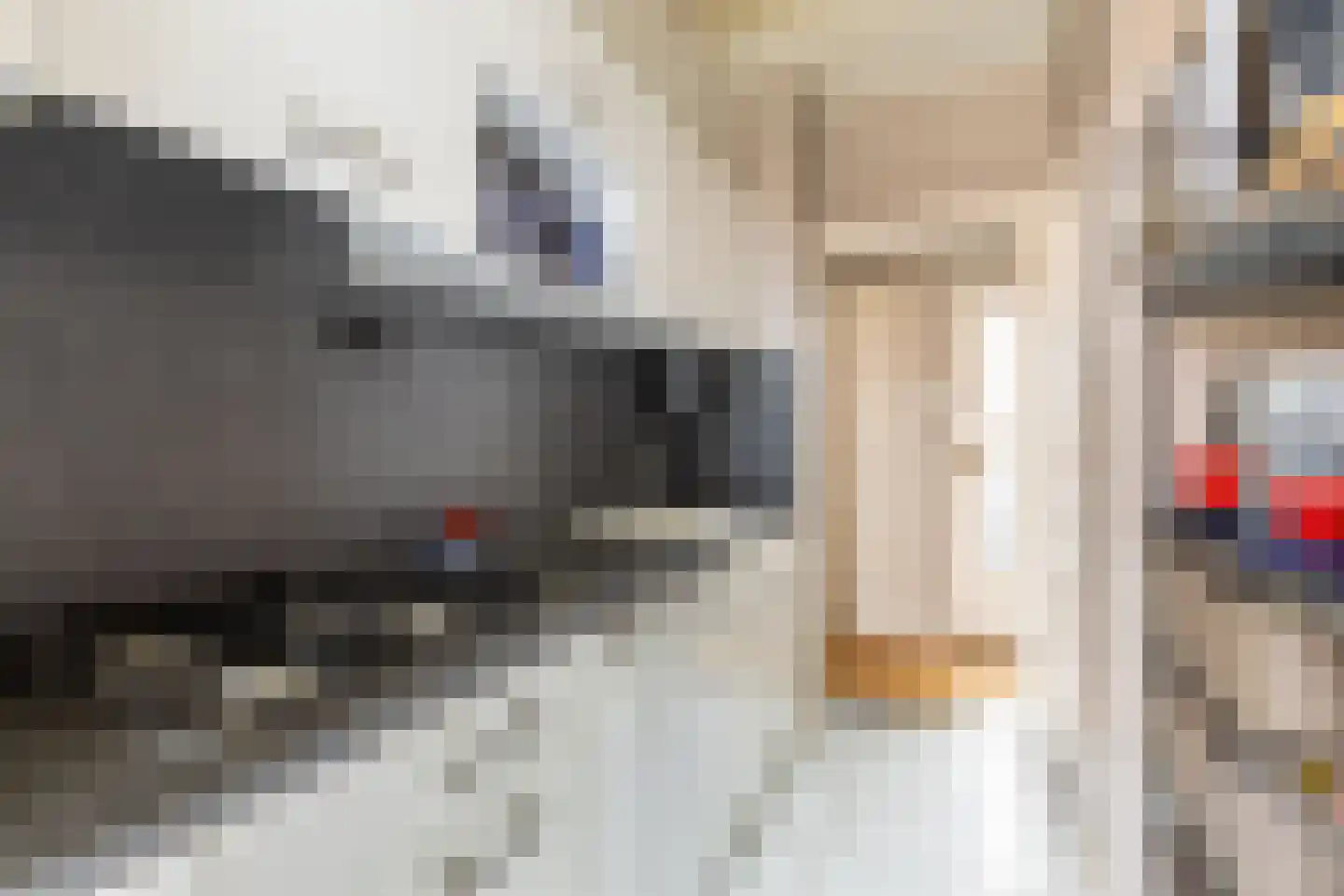 Steijnlaan 3 A Breda thumbnail 22