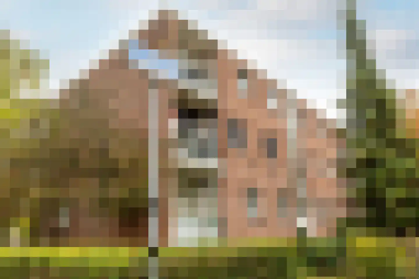 Steijnlaan 3 A Breda thumbnail 29