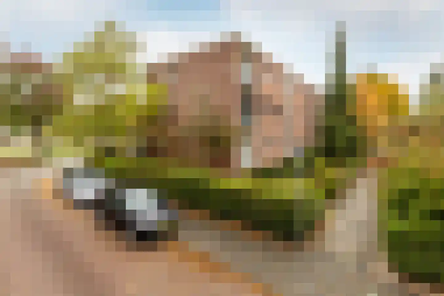 Steijnlaan 3 A Breda thumbnail 30
