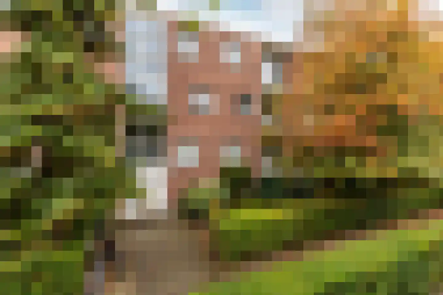 Steijnlaan 3 A Breda thumbnail 7