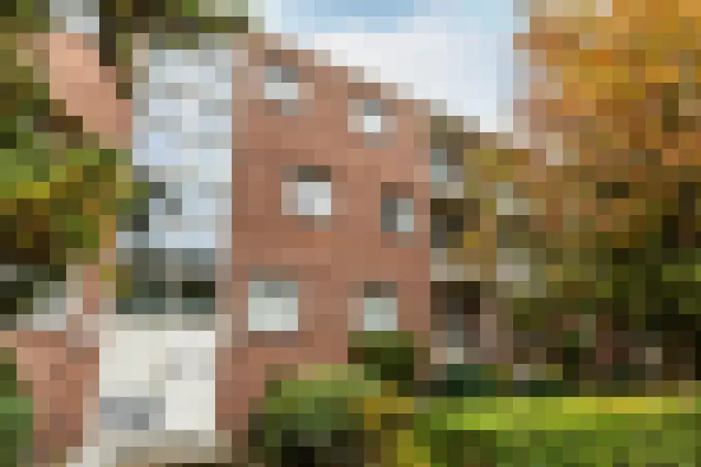 Steijnlaan 3 A Breda thumbnail 8
