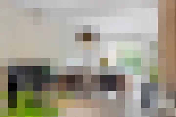 Steijnlaan 33 Breda thumbnail 10