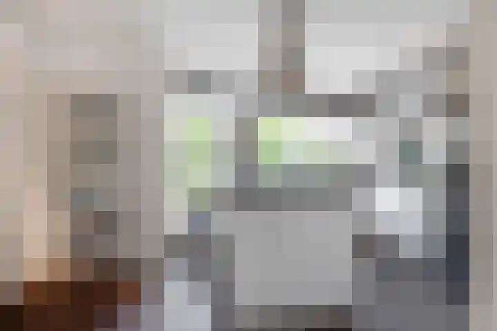 Steijnlaan 33 Breda thumbnail 12