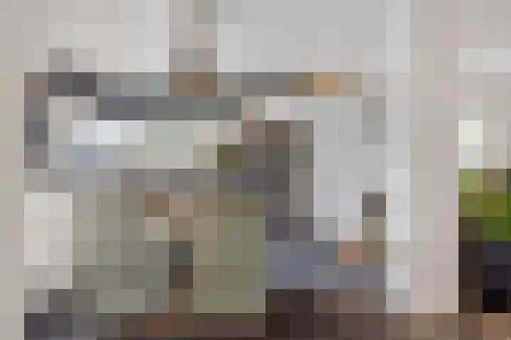 Steijnlaan 33 Breda thumbnail 13