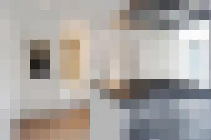 Steijnlaan 33 Breda thumbnail 16