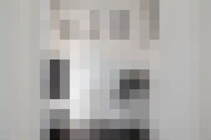 Steijnlaan 33 Breda thumbnail 18