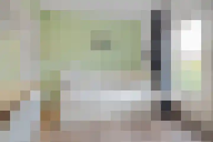 Steijnlaan 33 Breda thumbnail 19