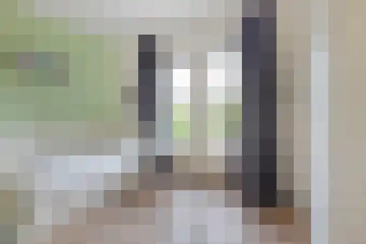 Steijnlaan 33 Breda thumbnail 20
