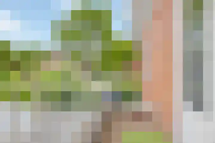 Steijnlaan 33 Breda thumbnail 21