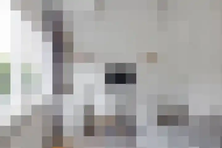 Steijnlaan 33 Breda thumbnail 24