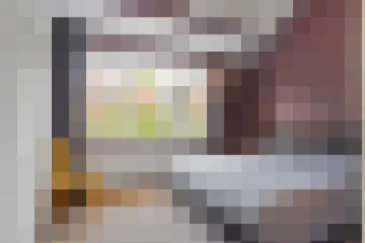 Steijnlaan 33 Breda thumbnail 25