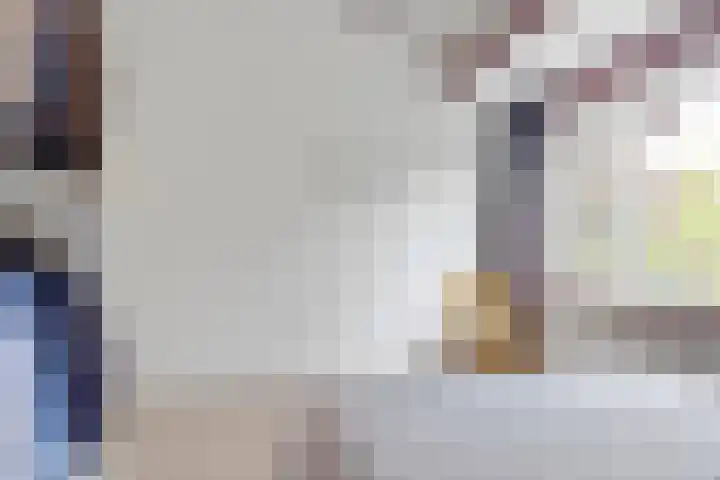 Steijnlaan 33 Breda thumbnail 27