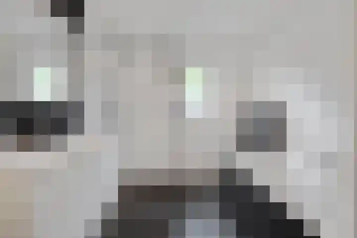 Steijnlaan 33 Breda thumbnail 28