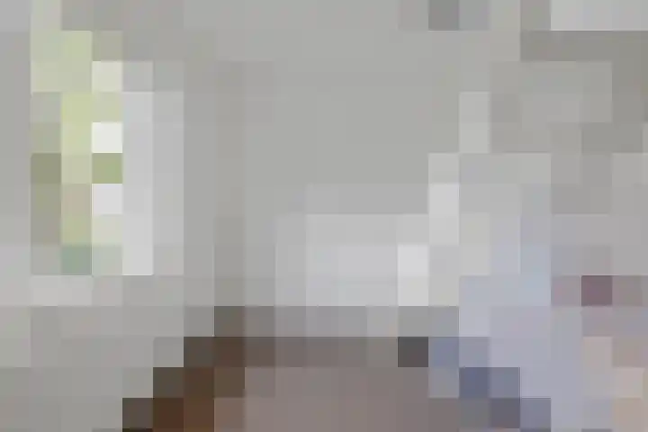 Steijnlaan 33 Breda thumbnail 30