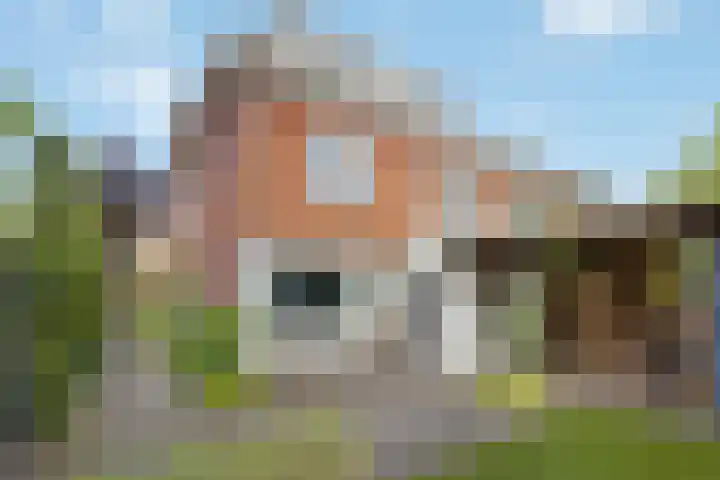 Steijnlaan 33 Breda thumbnail 35