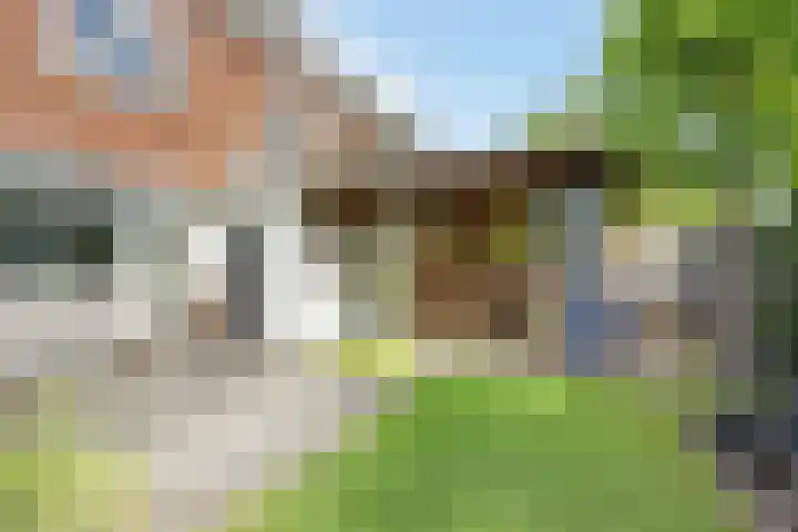 Steijnlaan 33 Breda thumbnail 36