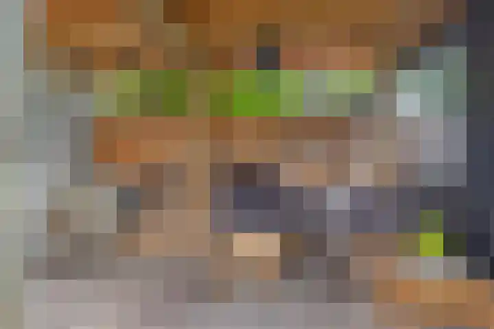 Steijnlaan 33 Breda thumbnail 37