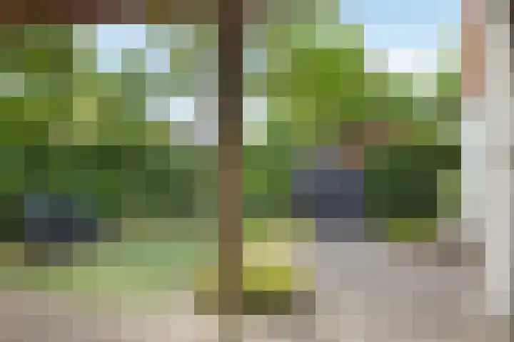 Steijnlaan 33 Breda thumbnail 38