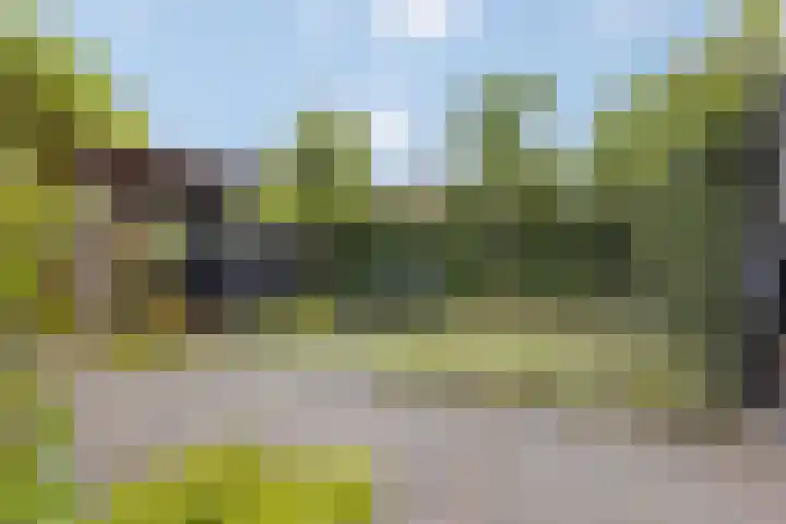 Steijnlaan 33 Breda thumbnail 39