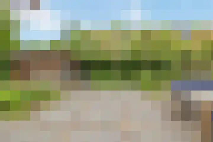 Steijnlaan 33 Breda thumbnail 40