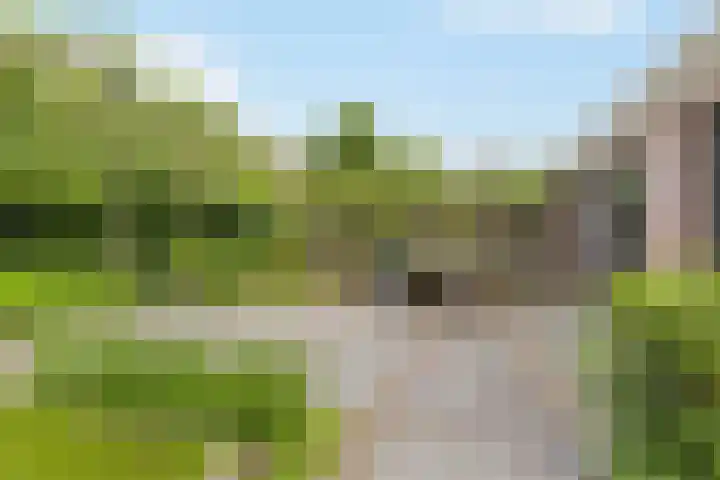Steijnlaan 33 Breda thumbnail 41