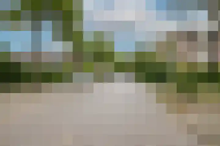 Steijnlaan 33 Breda thumbnail 43