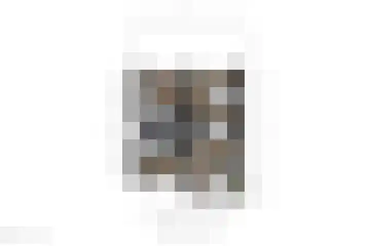 Steijnlaan 33 Breda thumbnail 45
