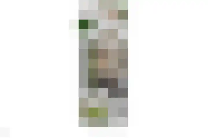 Steijnlaan 33 Breda thumbnail 47