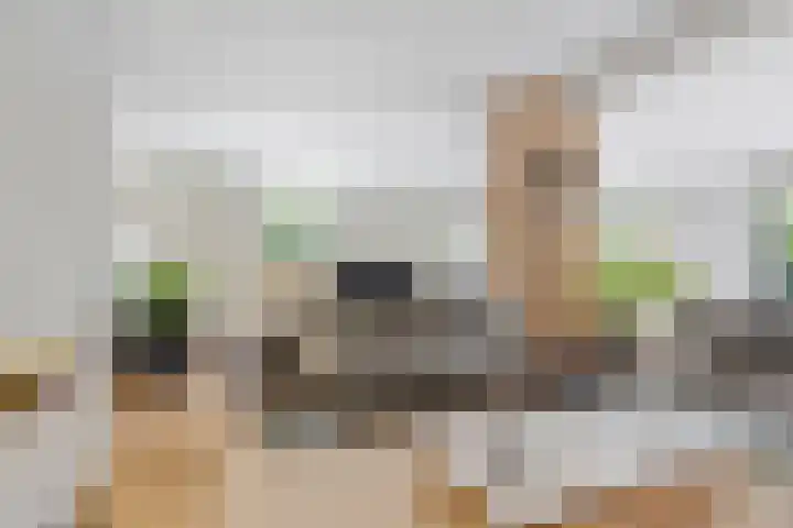 Steijnlaan 33 Breda thumbnail 5