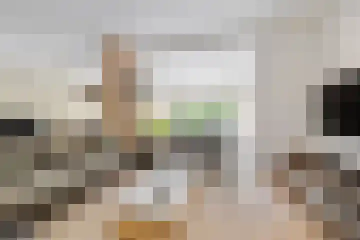 Steijnlaan 33 Breda thumbnail 6