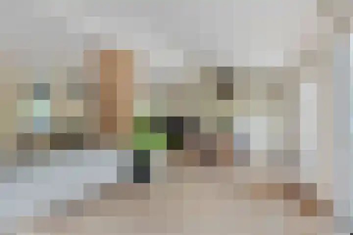 Steijnlaan 33 Breda thumbnail 7