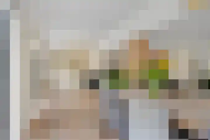 Steijnlaan 33 Breda thumbnail 9