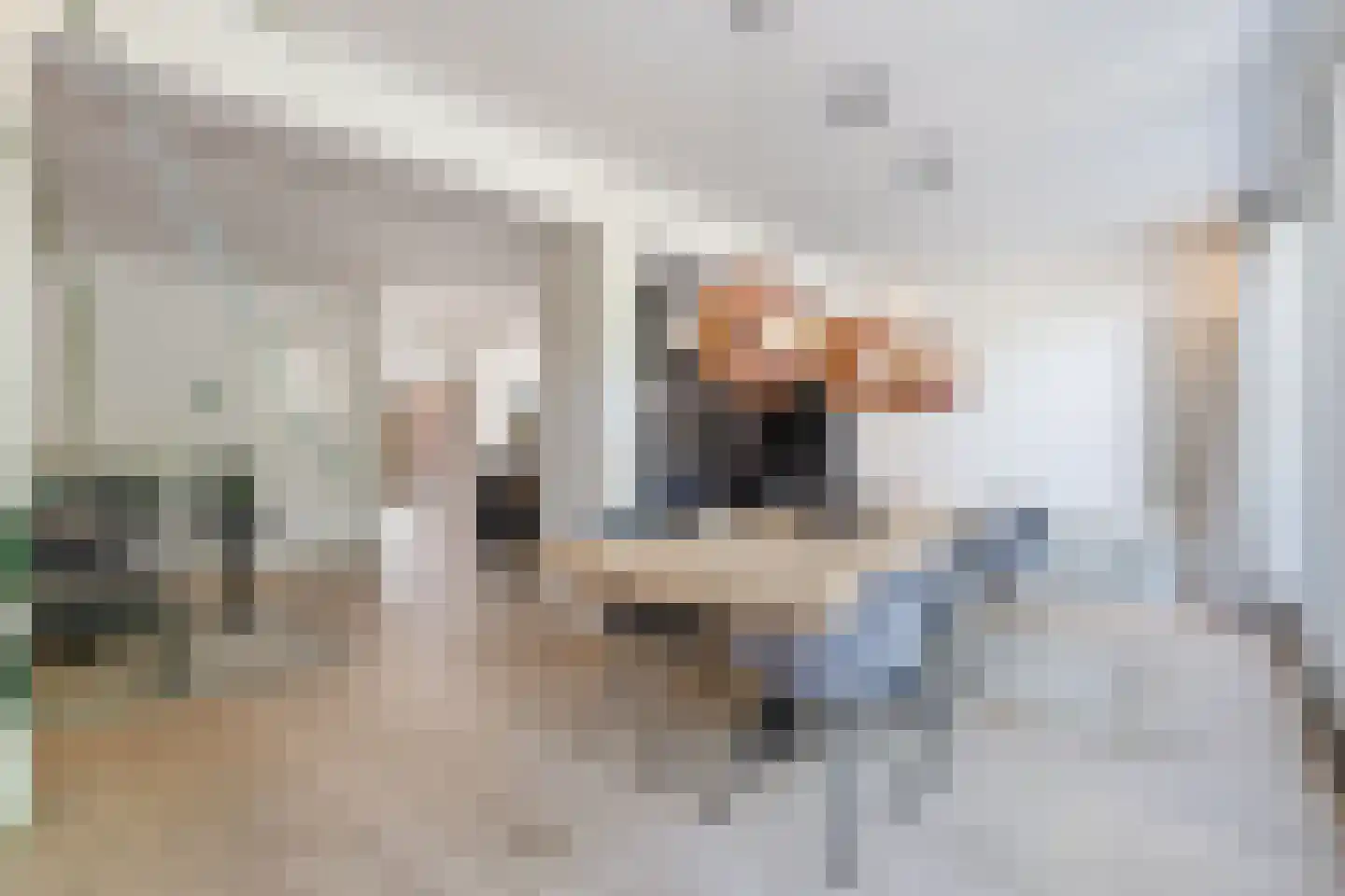 Steijnlaan 34 Breda thumbnail 20