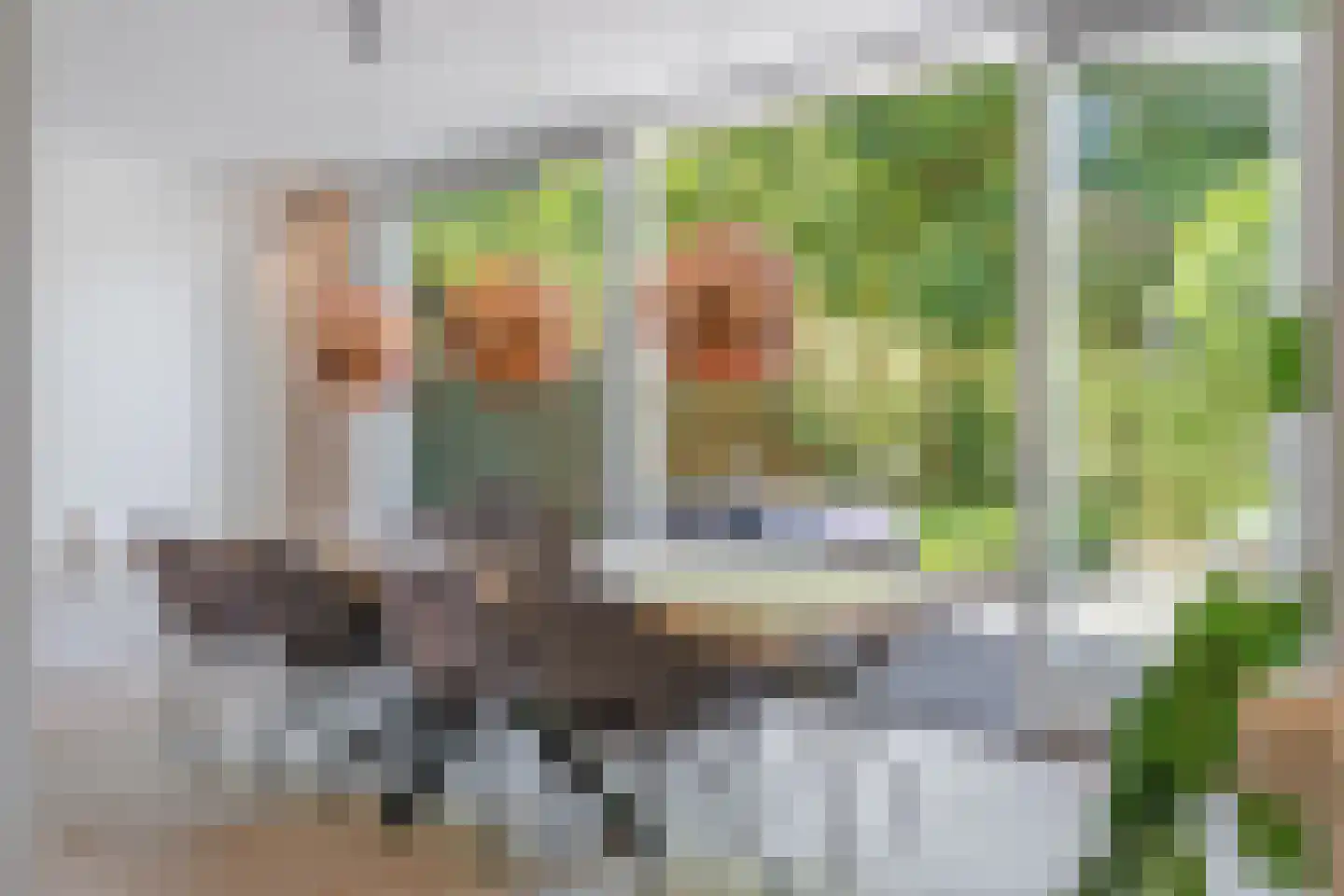 Steijnlaan 34 Breda thumbnail 22