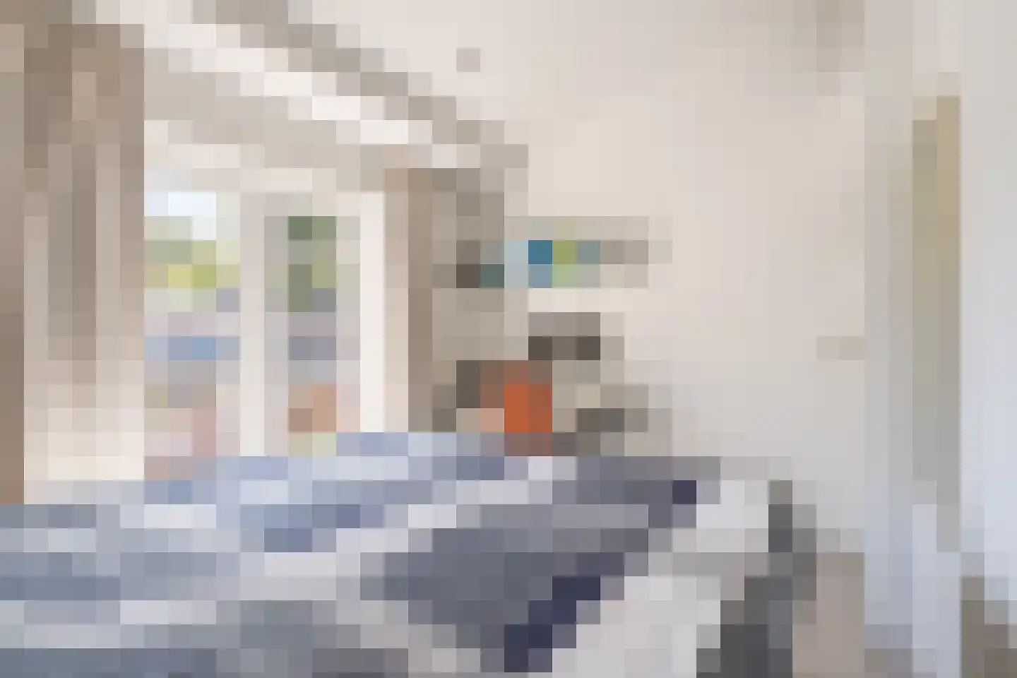 Steijnlaan 34 Breda thumbnail 28
