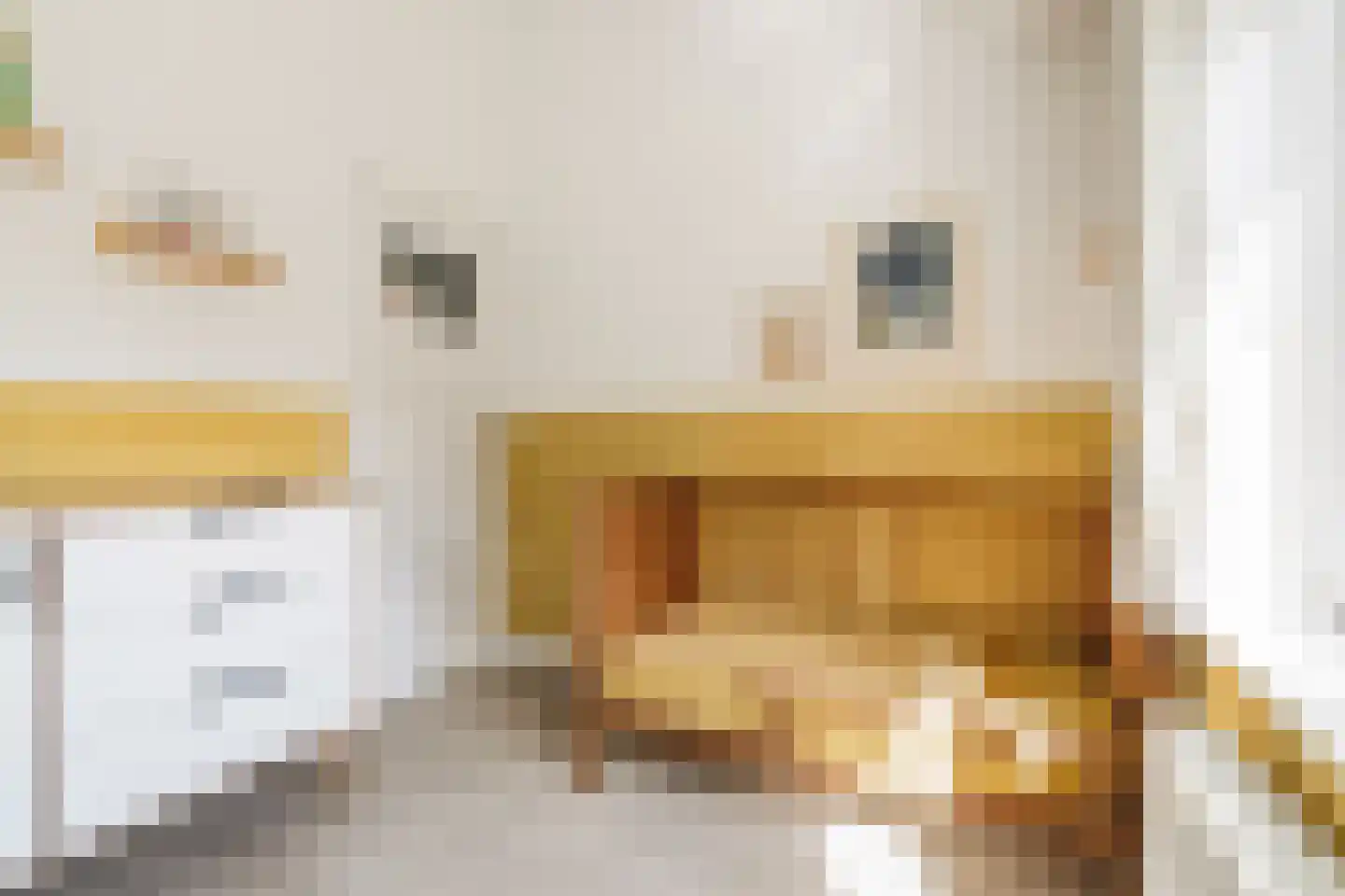 Steijnlaan 34 Breda thumbnail 36