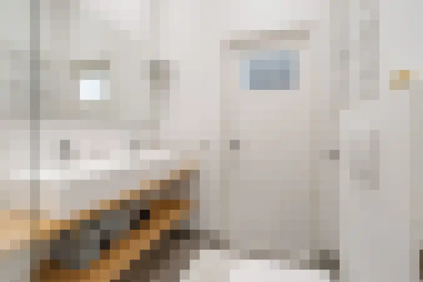 Steijnlaan 34 Breda thumbnail 40