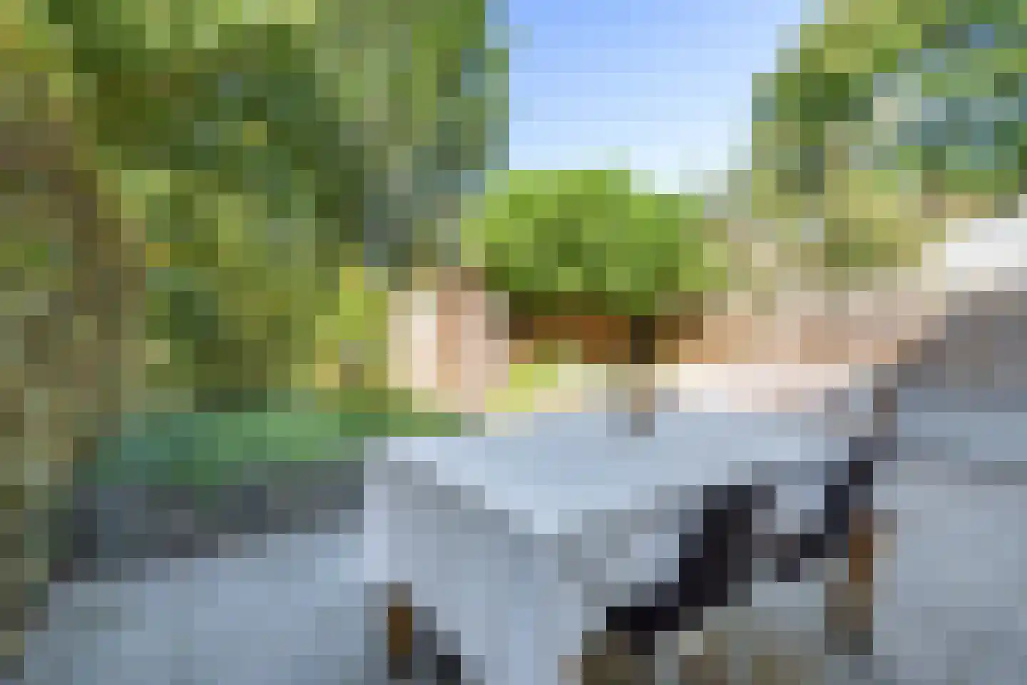 Steijnlaan 34 Breda thumbnail 45