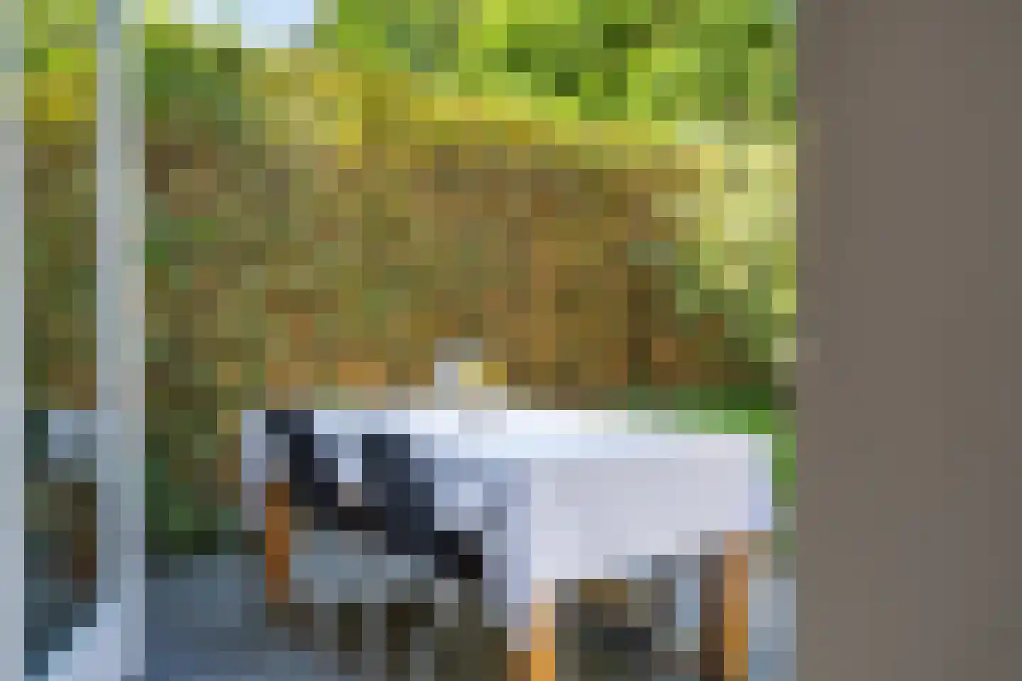 Steijnlaan 34 Breda thumbnail 46
