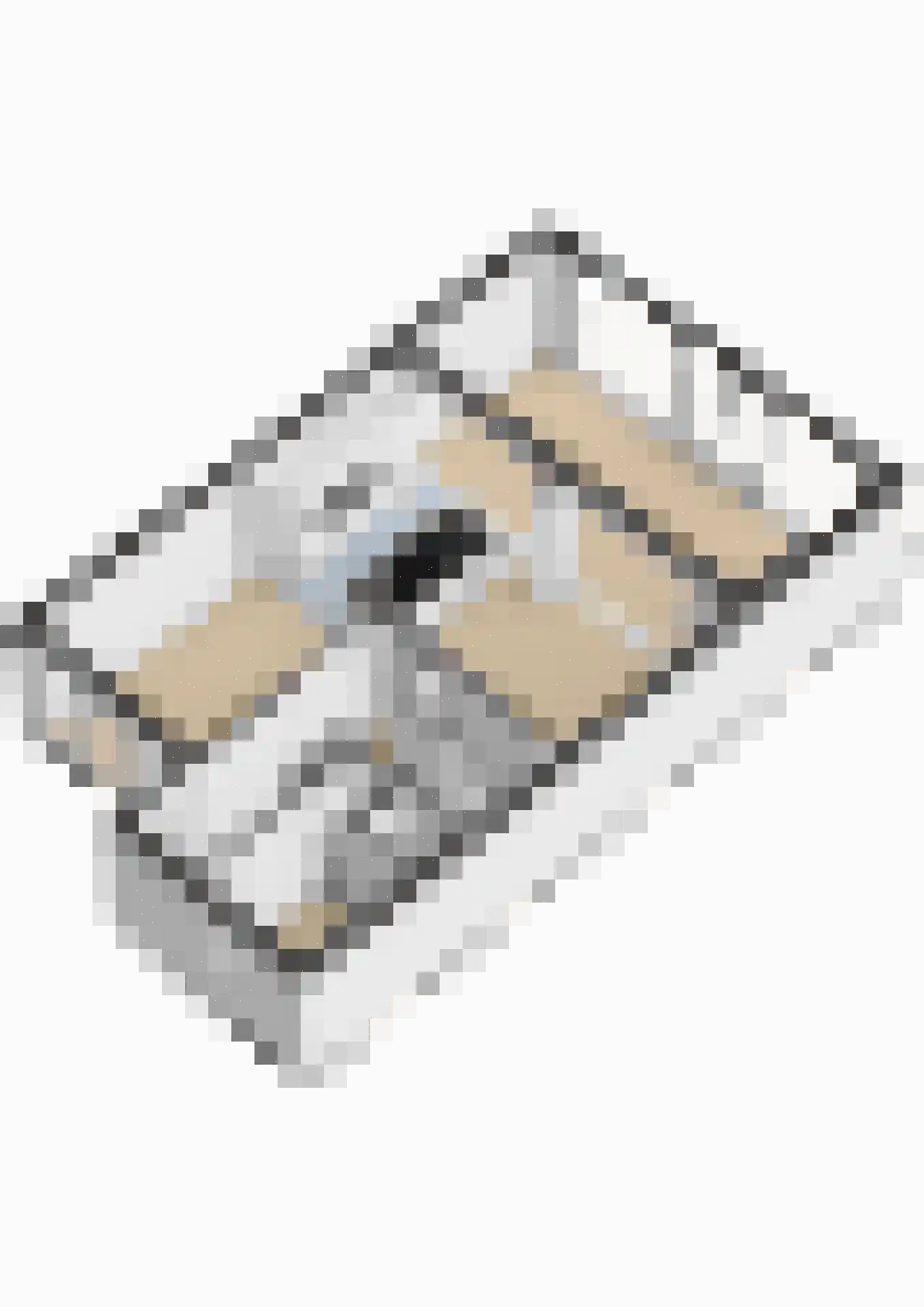 Steijnlaan 34 Breda thumbnail 56