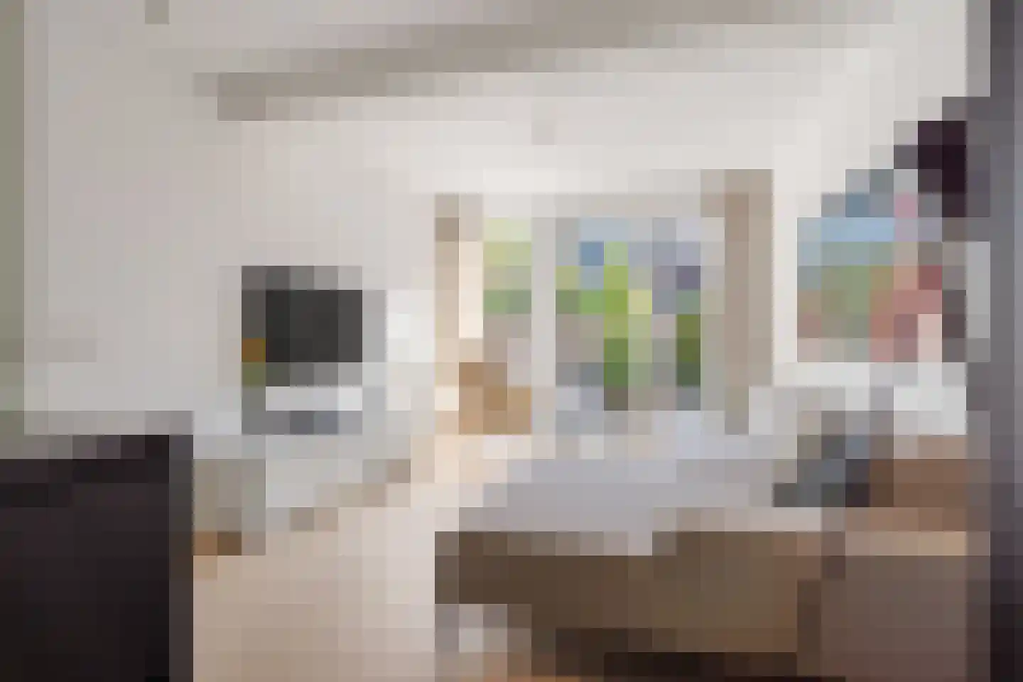 Steijnlaan 34 Breda thumbnail 6
