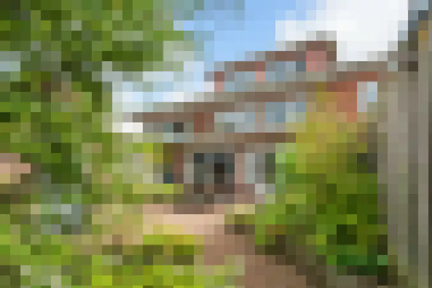 Steijnlaan 50 Breda