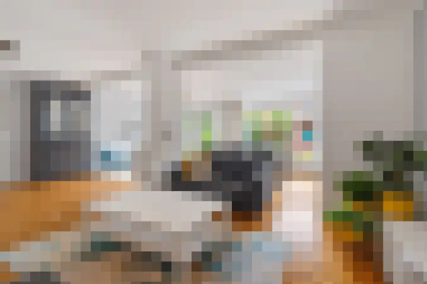 Steijnlaan 50 Breda thumbnail 10
