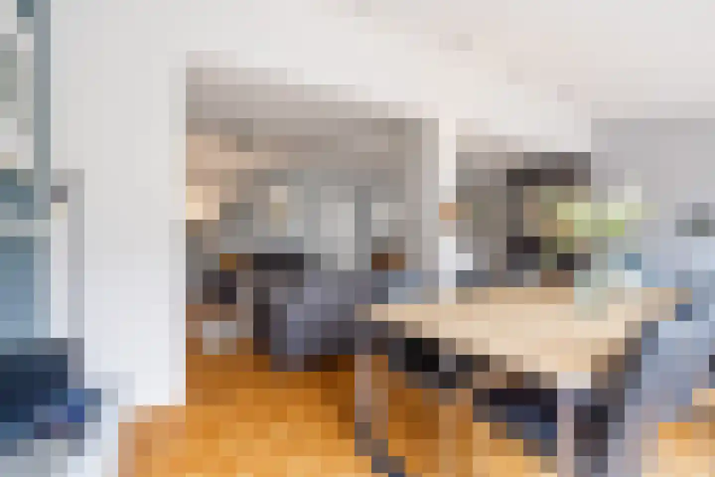 Steijnlaan 50 Breda thumbnail 13